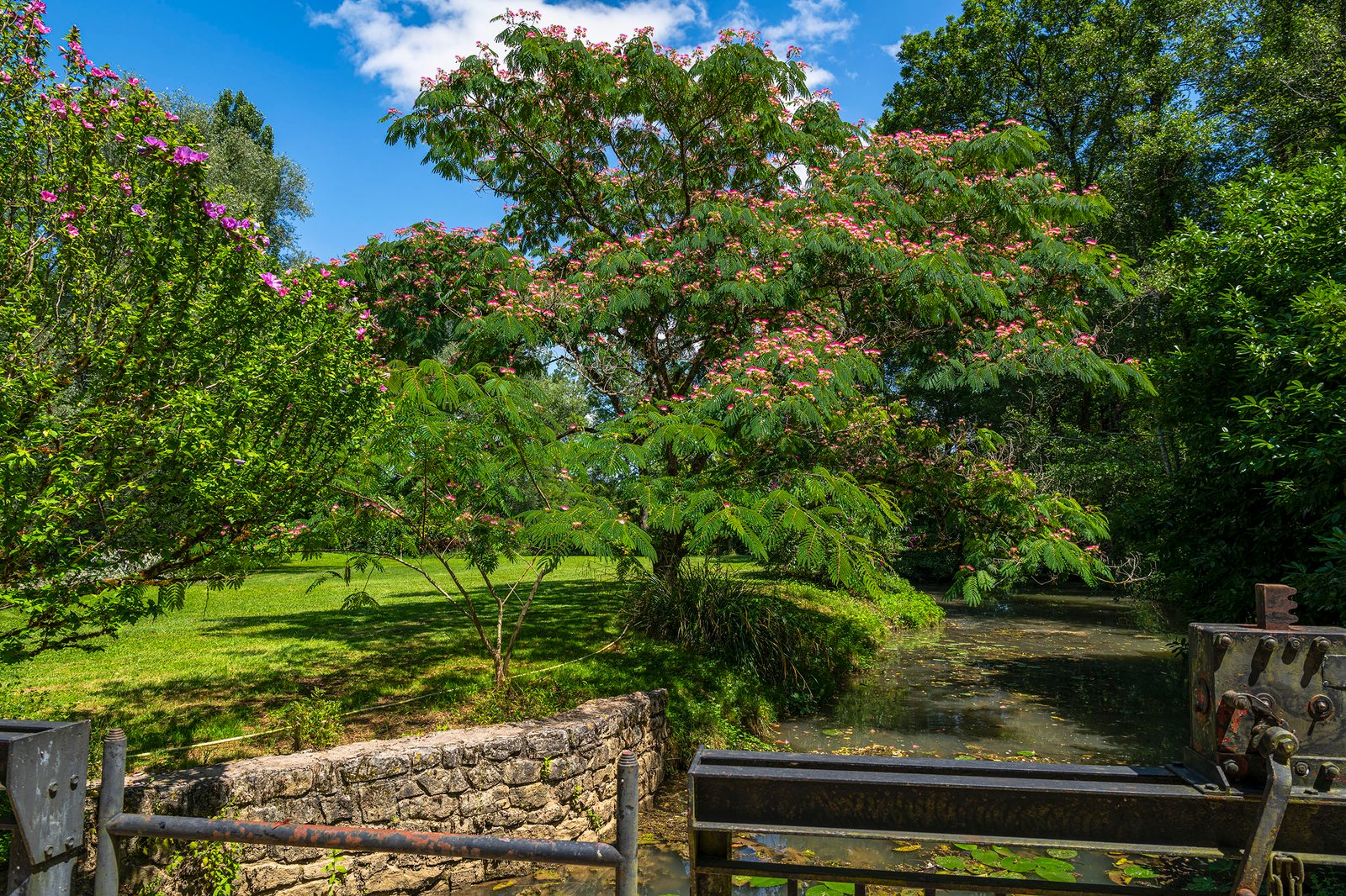 Jardin Et Rivière