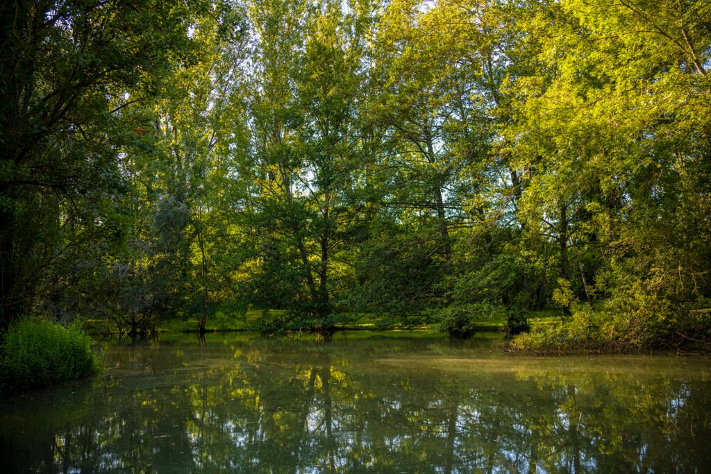 Nature Au Fil De L'eau