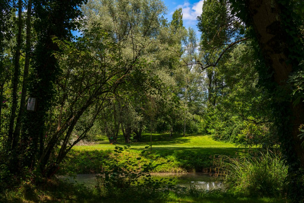 Vue Du Jardin