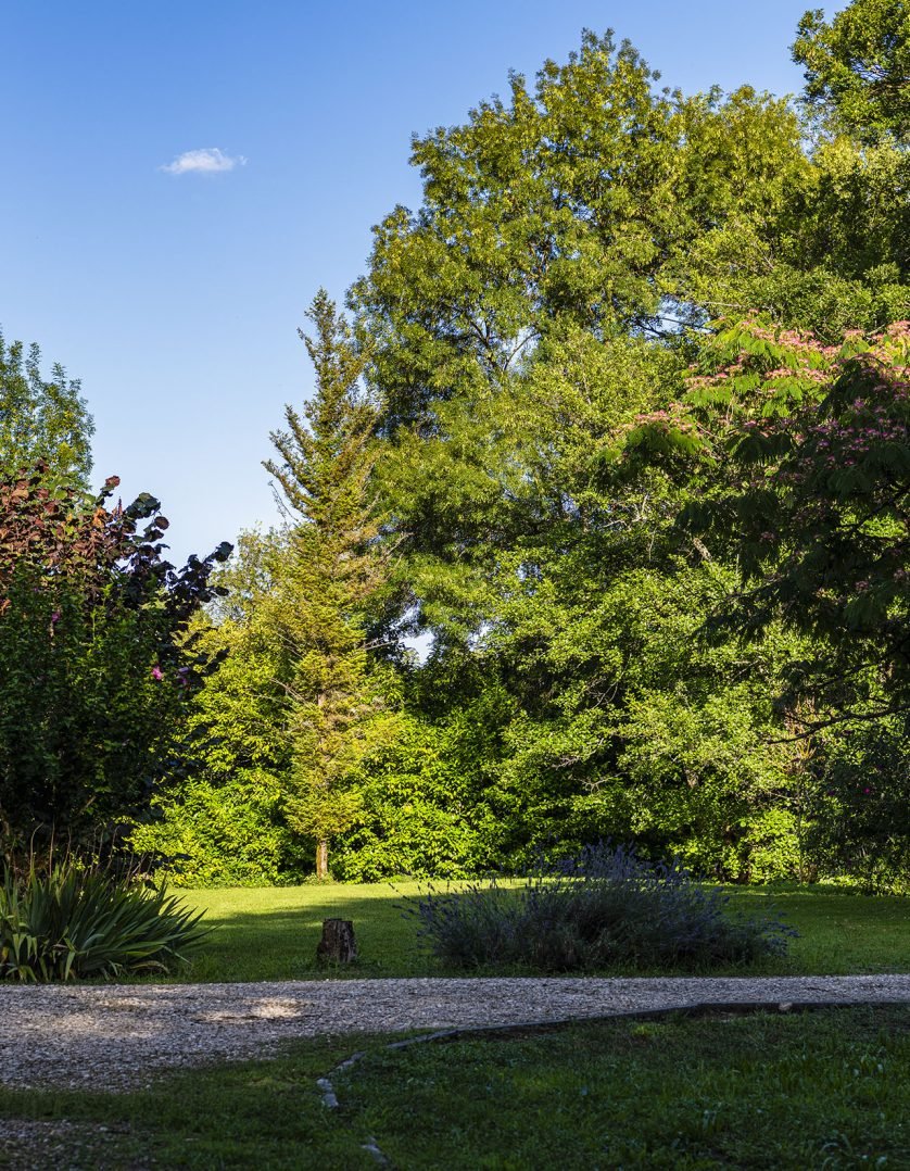 Jardin Du Domaine Au Clair D'été