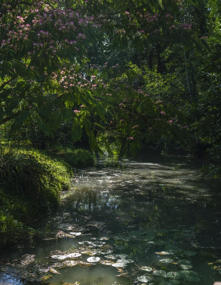 La Rivière Du Moulin2